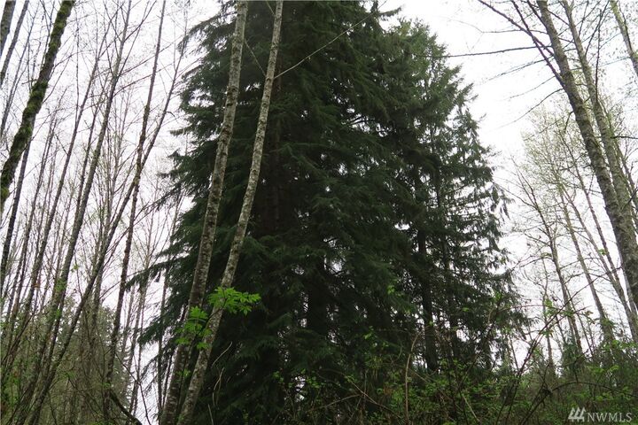 Property Photo: 401 Newberg Rd WA 98290