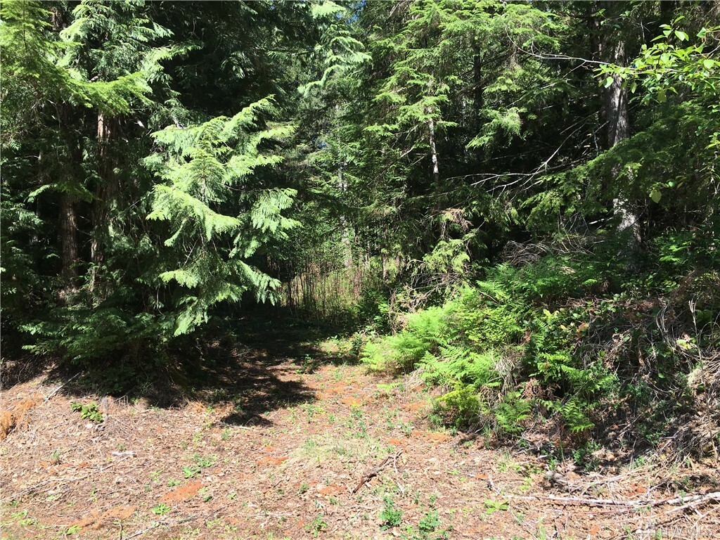 Property Photo: Lot 15D E Vuecrest Dr WA 98592