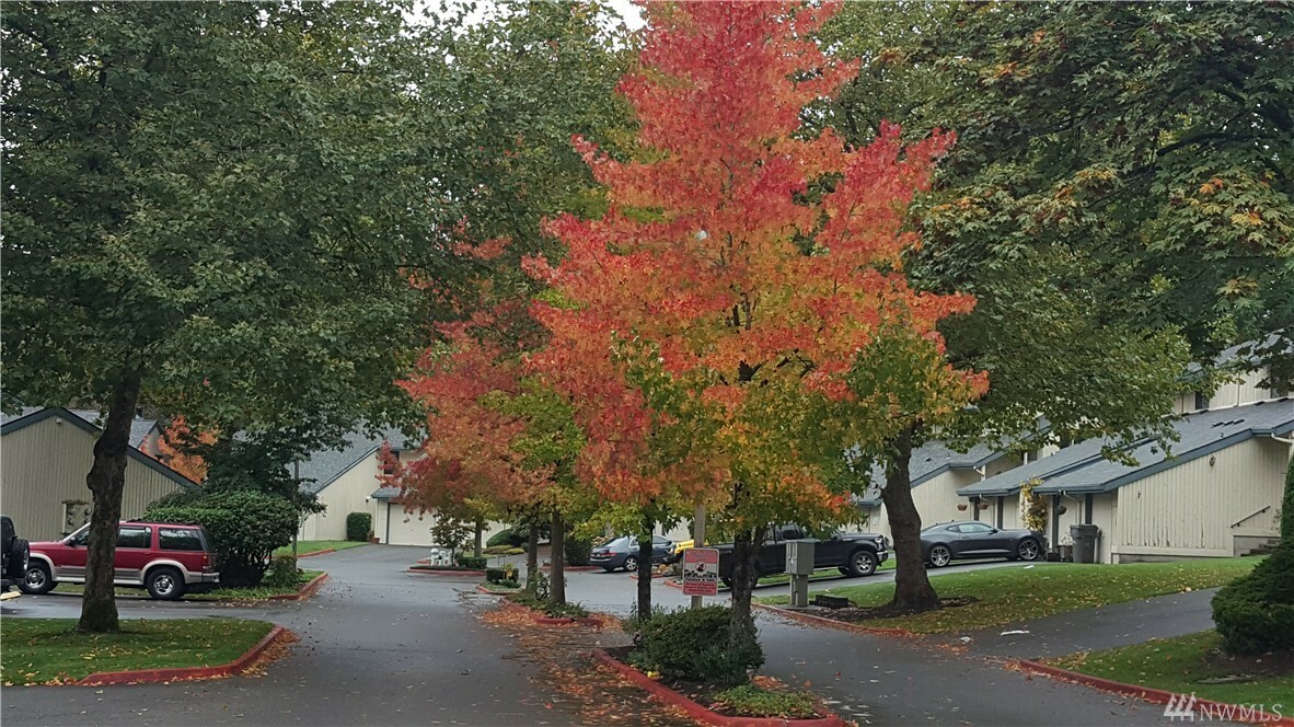 Property Photo:  11502 SE 173rd St SE 38  WA 98055 