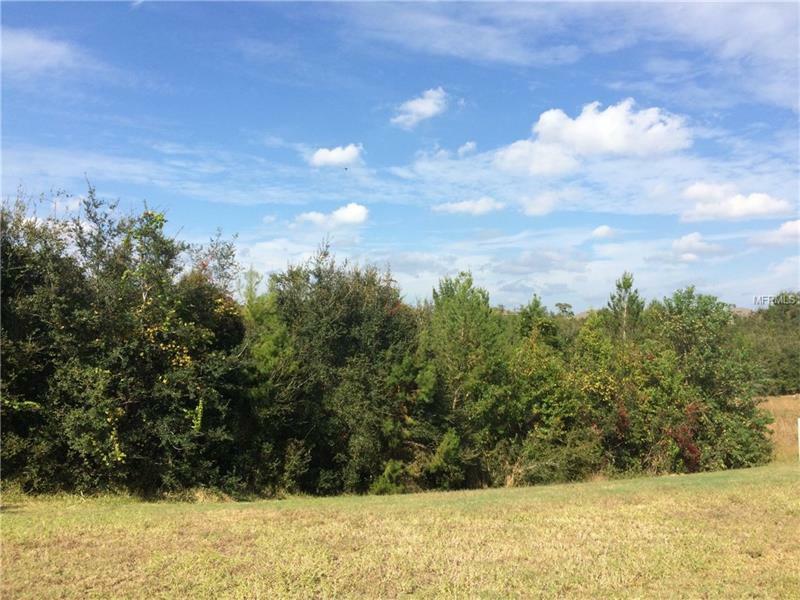 Property Photo:  1359 Lake Baton Drive  FL 32725 