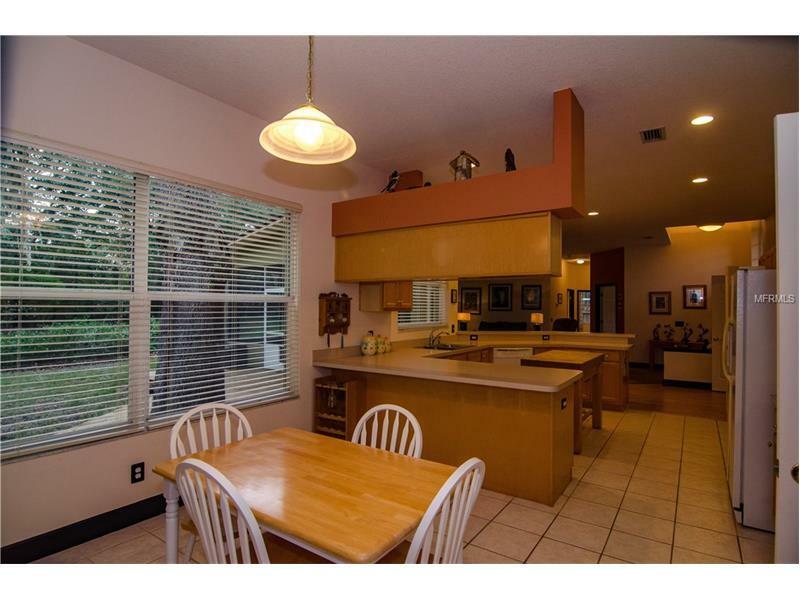 Property Photo:  10131 Sedgebrook Drive  FL 33569 