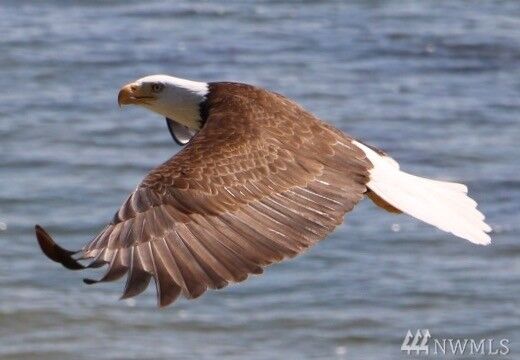 Property Photo: 2910 Mission Beach Heights Road WA 98271