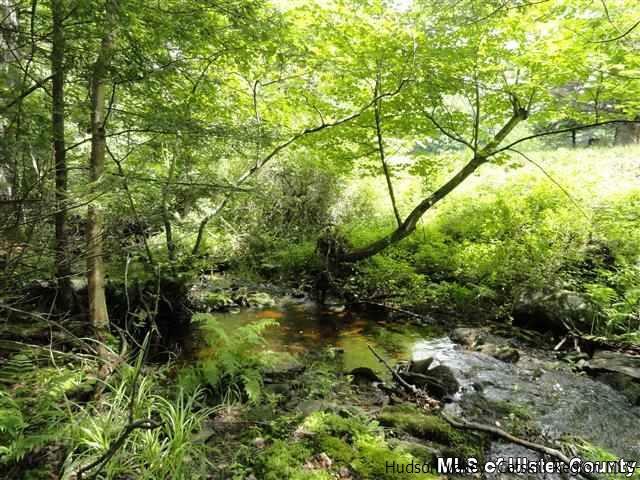 Property Photo: 2003 Queens NY 12446