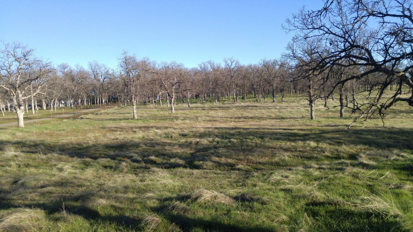 Property Photo:  Bass Pond Rd  CA 96062 