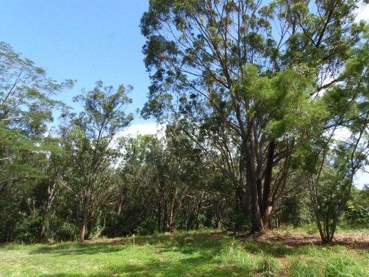 Ahopueo Dr  Kalaheo HI 96741 photo