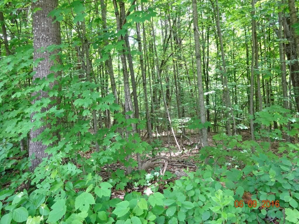 Property Photo:  00 Old Swanzey Road  NH 03443 