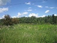 Property Photo:  Lot #2 West Lykers Road  NY 13317 