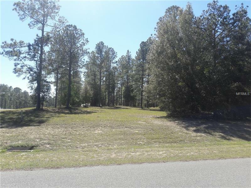 Property Photo:  35702 High Pines Drive  FL 32736 