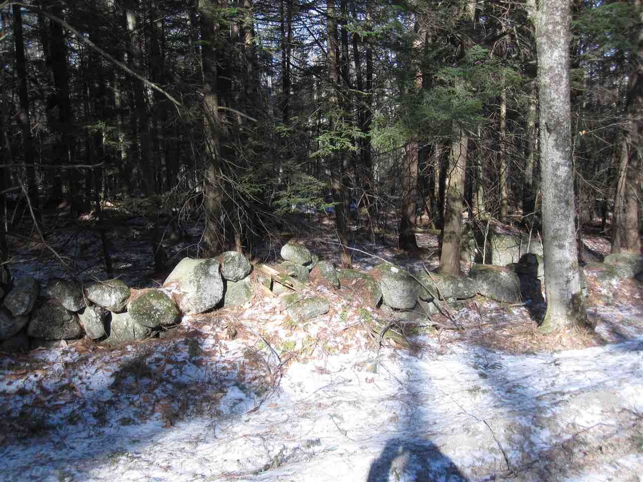 Property Photo:  0 Evergreen Hill Road  NH 03449 