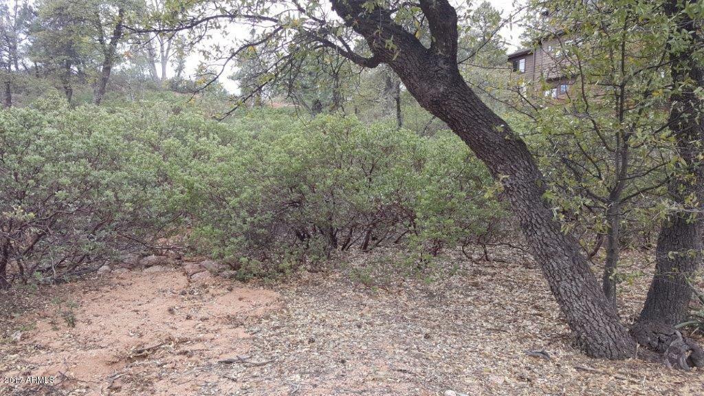 Property Photo:  2207 E Grapevine Drive  AZ 85541 