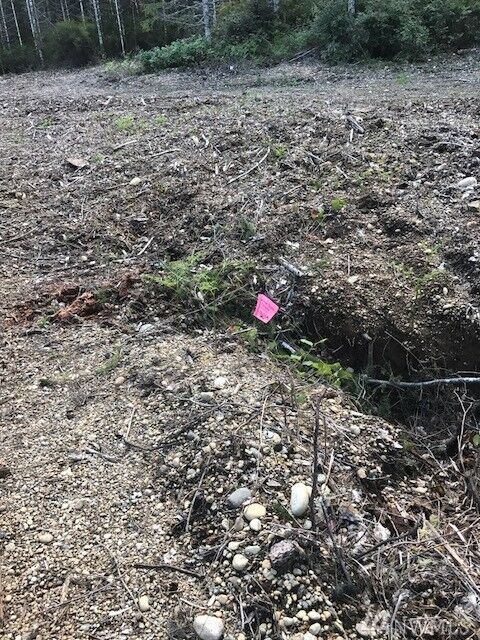 Property Photo:  140 E Harley Dr  WA 98546 