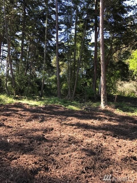 Property Photo: 0 NW Wilkes Street Lot 3 WA 98239