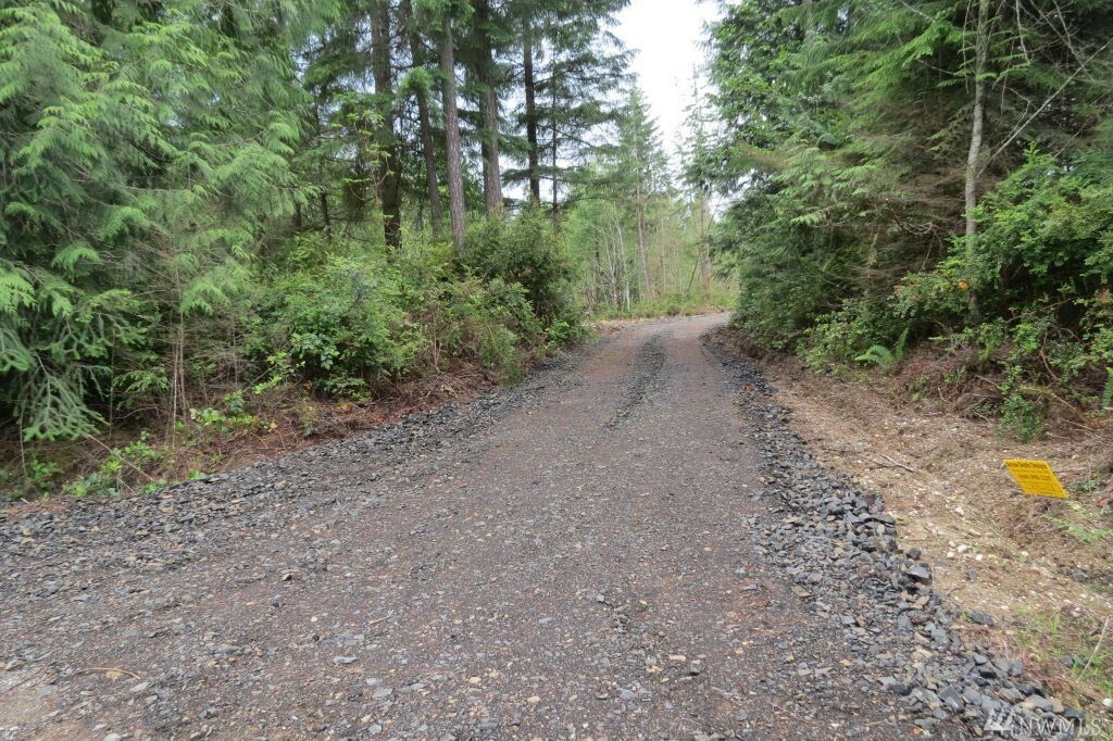 Property Photo: 2613 E Harstine Island Rd N WA 98584