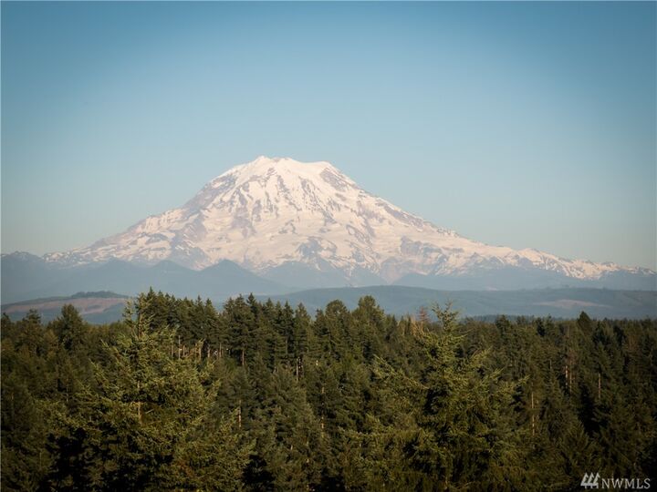 14217 68th Ave E  Puyallup WA 98373 photo