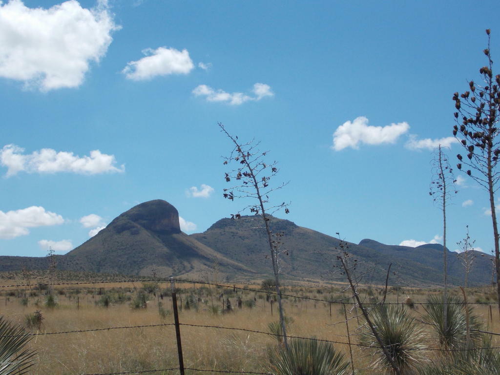 Property Photo:  Tbd Upper Elgin Road  AZ 85611 