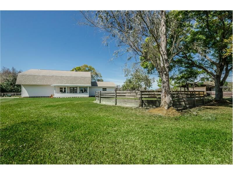 Property Photo: 19002 Brooker Creek Drive FL 33556