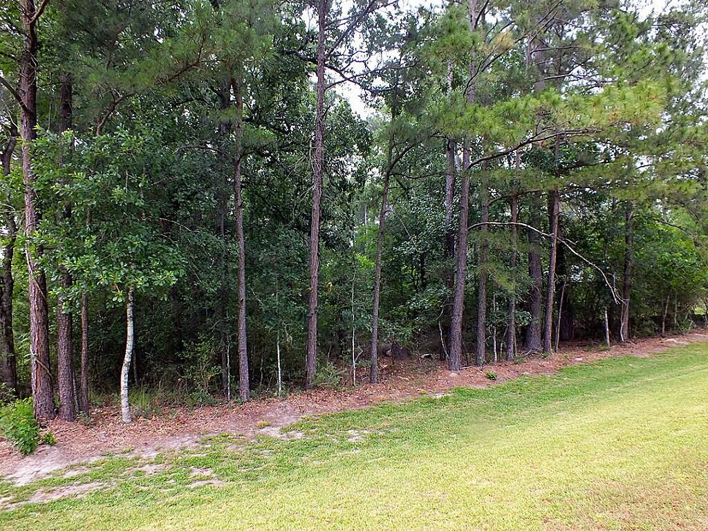 Property Photo:  0 Rain Lily  TX 77355 