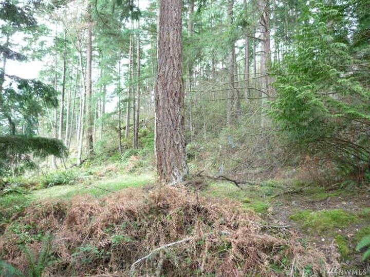 2911 Rosewood Terr  Lummi Island WA 98262 photo