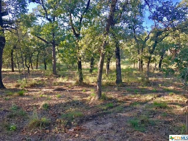 Property Photo:  0 Vivroux Ranch  TX 78155 