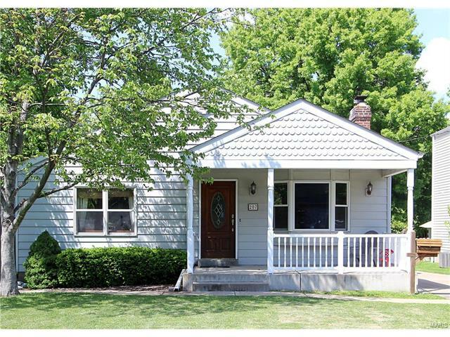 Property Photo: 207 Chestnut Avenue MO 63119