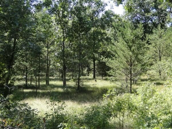Property Photo:  0 Vogel Rd  WI 54644 