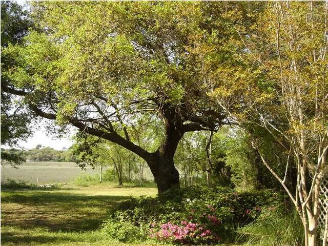 Property Photo: 51 Vincent Drive SC 29464