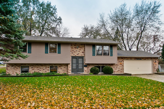 Property Photo:  234 School Street  IL 60013 