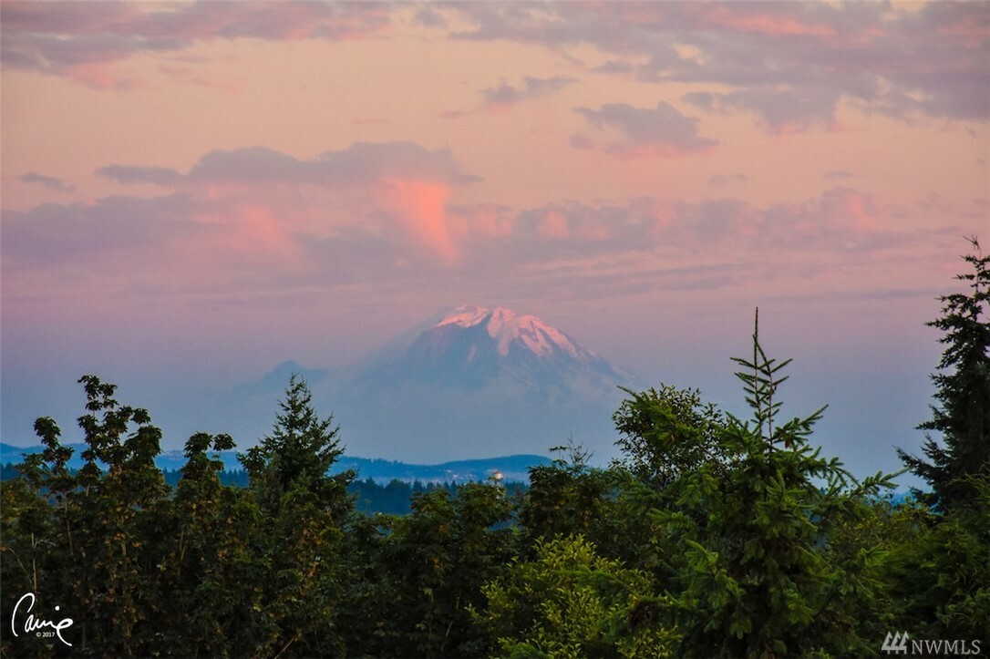 Property Photo:  19802 47th Ave NE  WA 98155 