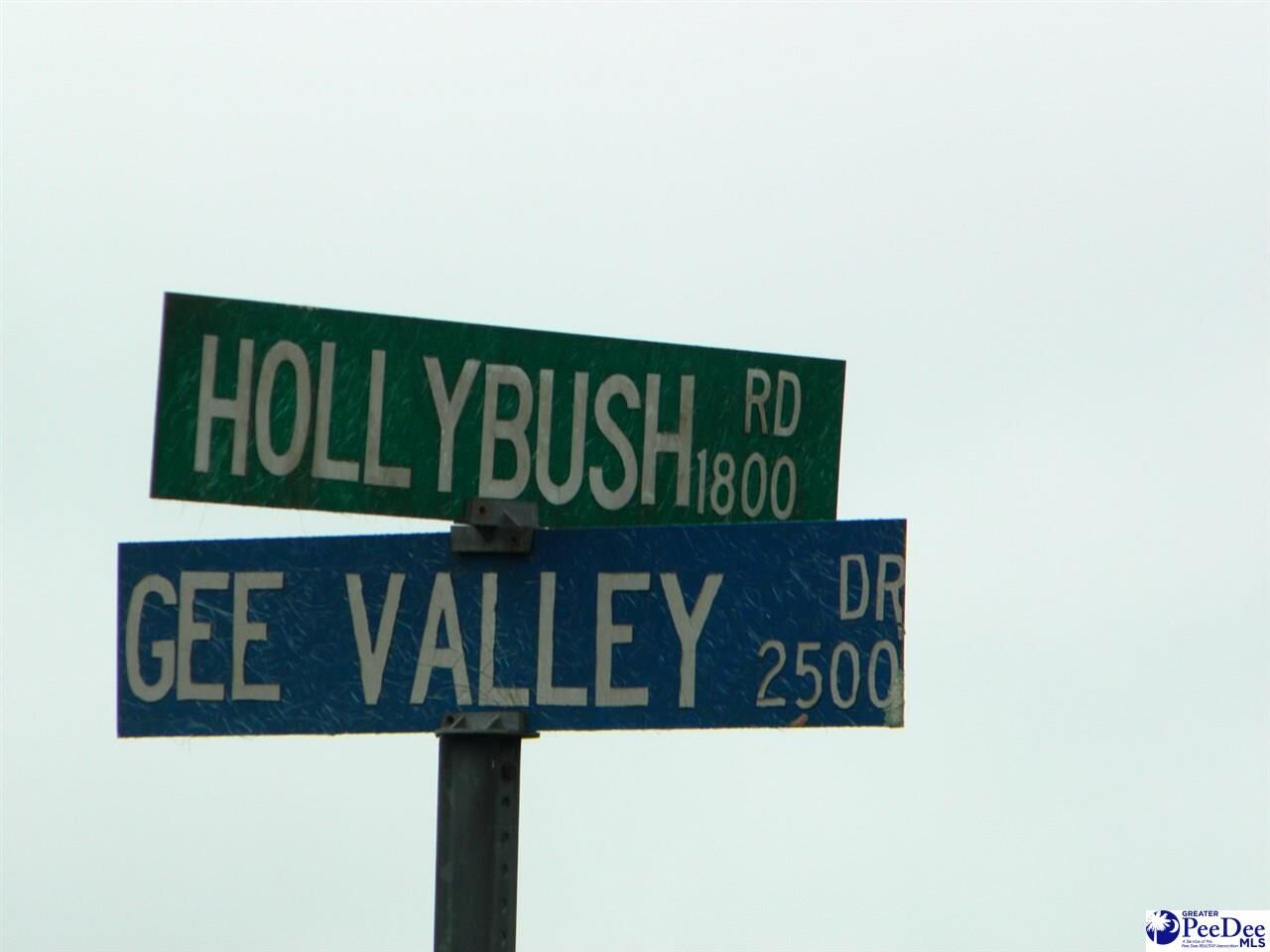 Property Photo:  Lot #4 Gee Valley Dr.  SC 29161 