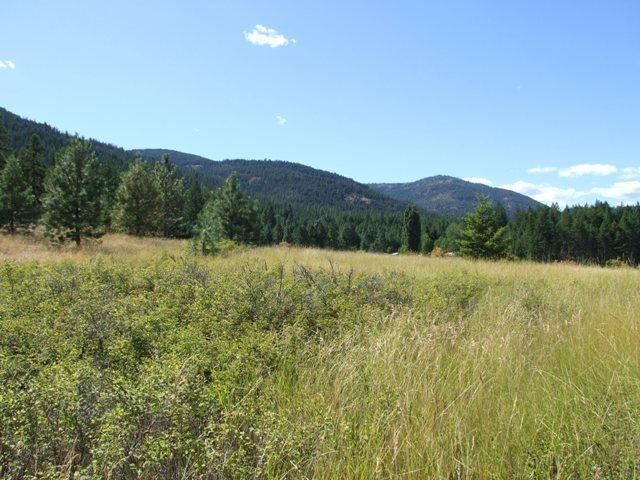 Property Photo:  Tbd #4 Buscher Way  WA 99114 