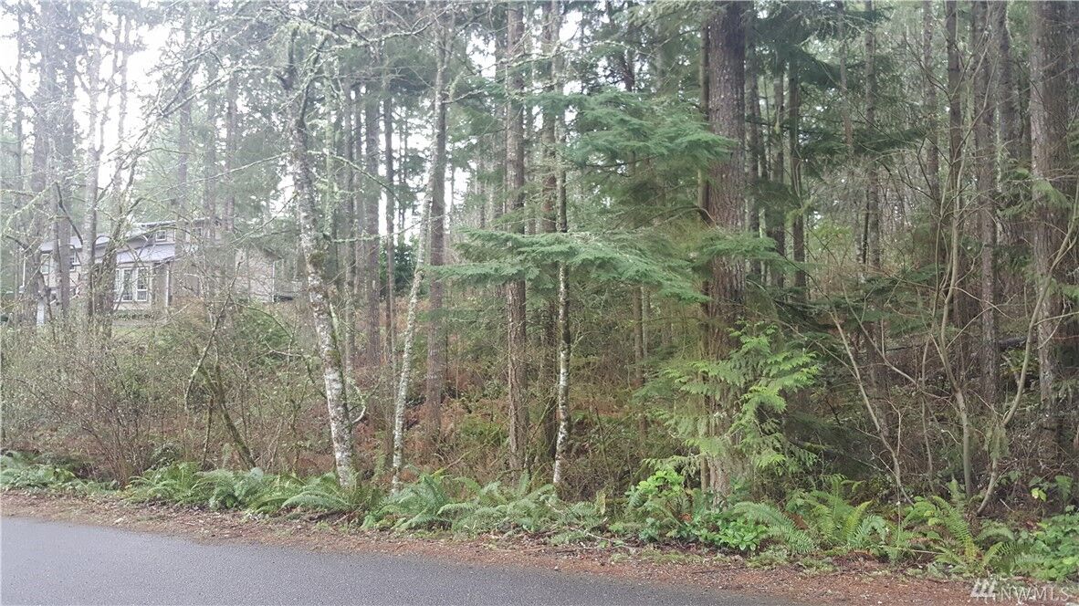 Property Photo:  22221 Bluewater Dr SE  WA 98597 