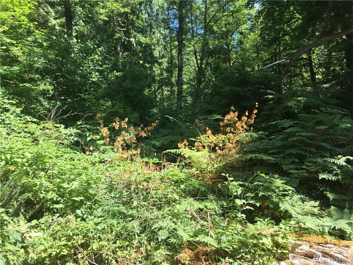 Property Photo: 0 NE 193rd Street WA 98010