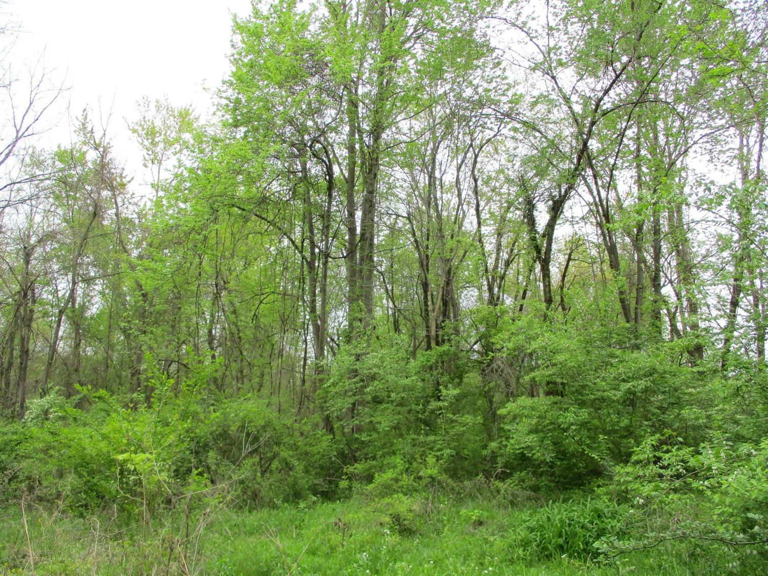 Property Photo:  0 4.15ac St Rt 133  OH 45162 