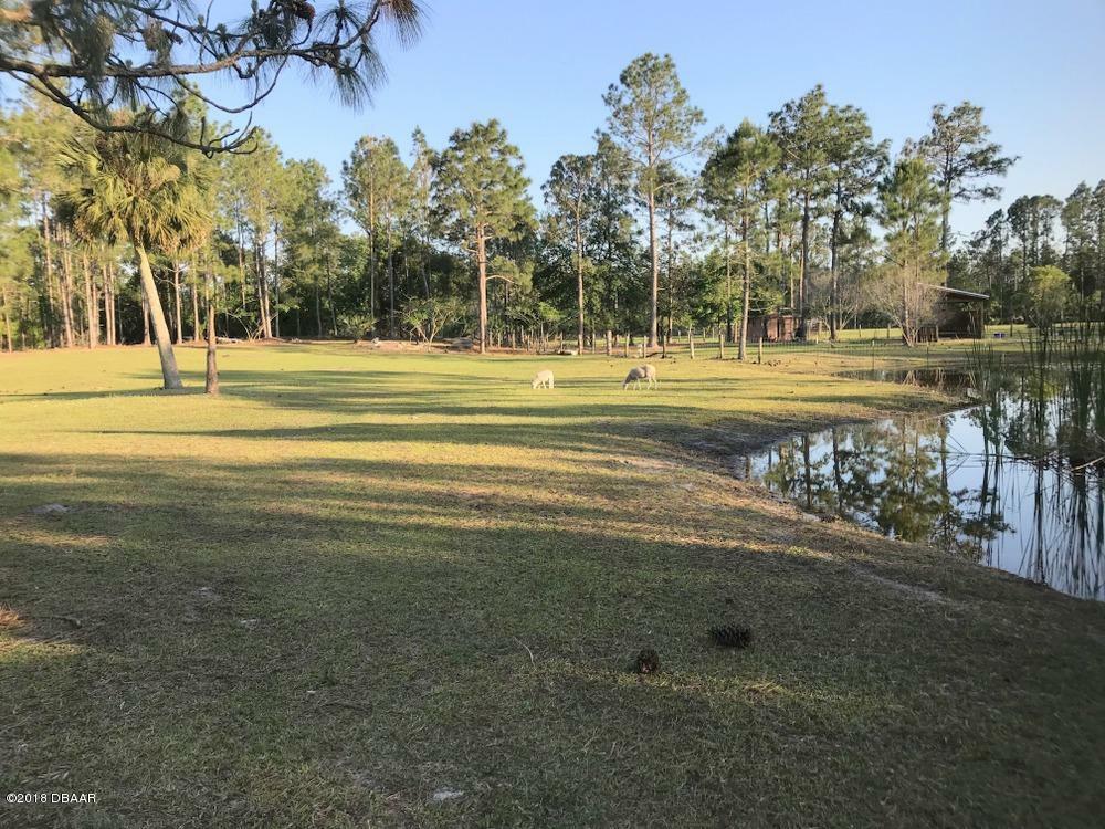 Property Photo:  761 Oak Rim Lane  FL 32168 