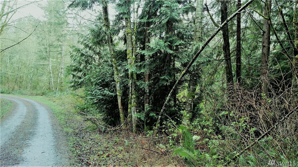 Property Photo: 0 SE Hoskins Hill Lane WA 98366