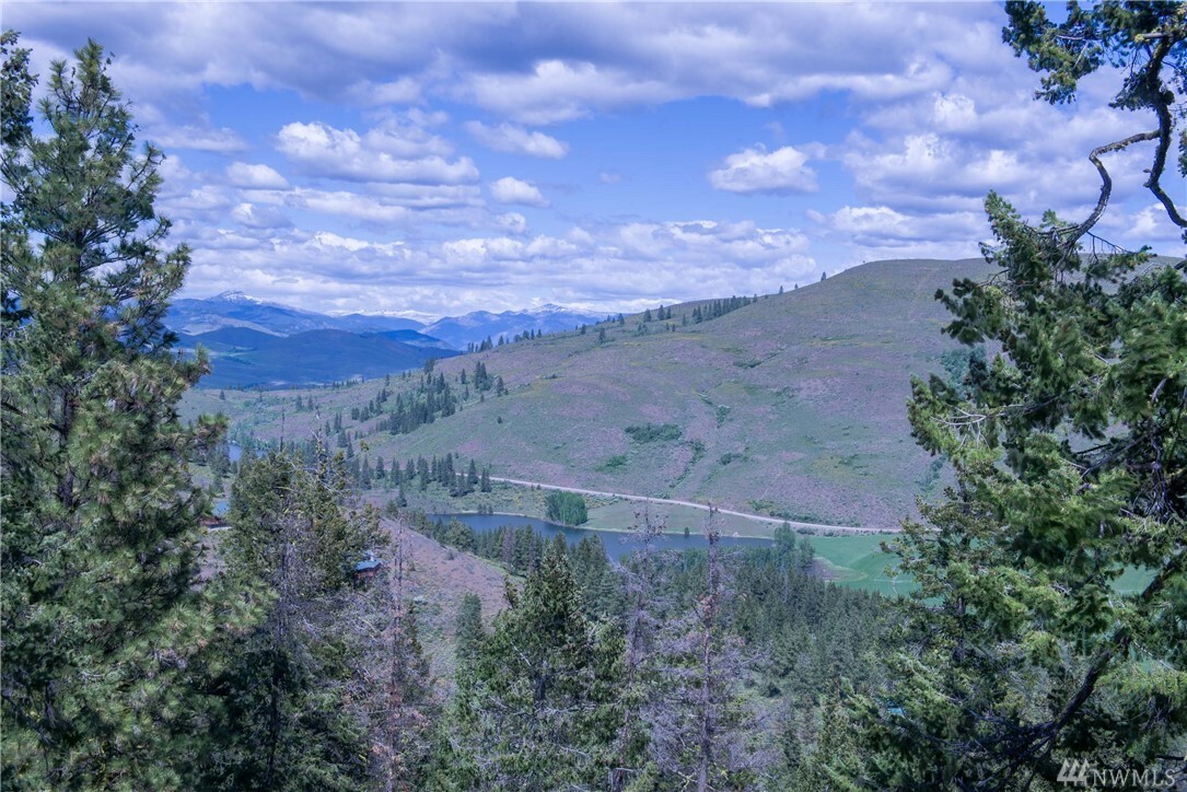 Property Photo:  46 Nighthawk Ridge Rd  WA 98862 