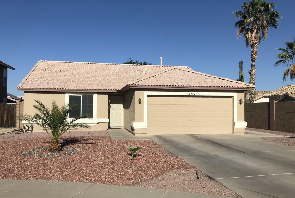 Property Photo:  17775 N 143rd Circle  AZ 85374 