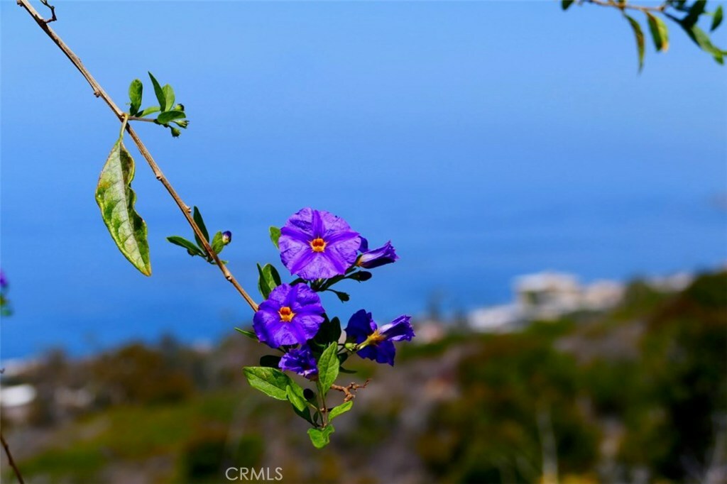 Property Photo: 2354 San Clemente Street CA 92651