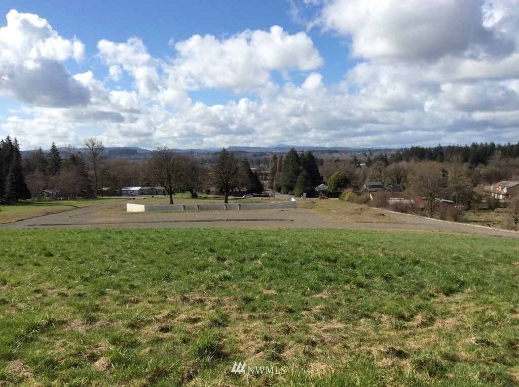 Property Photo: 124 Hosanna Lane WA 98532