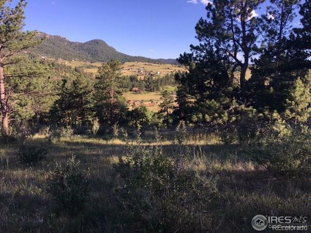 Property Photo: 96 Badger Court CO 80515