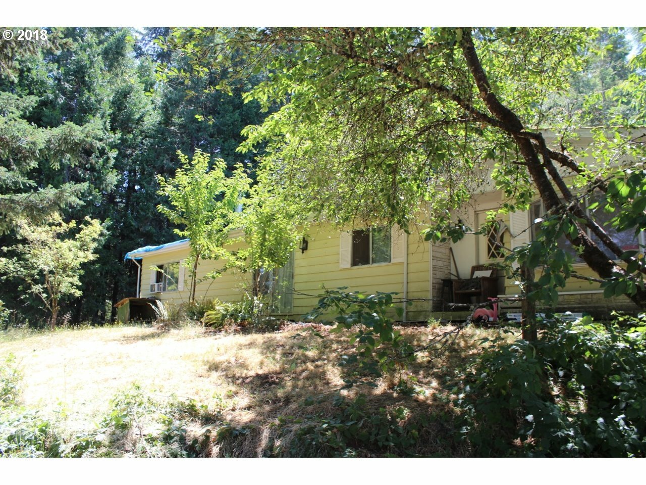 Property Photo:  31330 Camas Swale Rd  OR 97426 