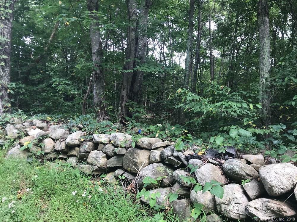Property Photo:  121 Forsyth Road  CT 06420 