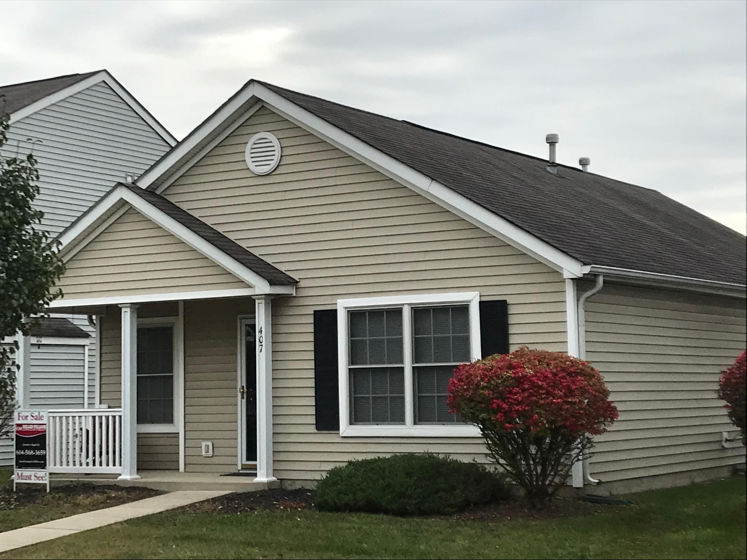 Property Photo: 407 Equality Way OH 43119