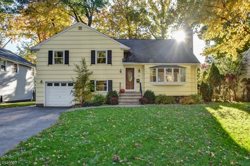 Property Photo:  733 Willow St  NJ 07016 