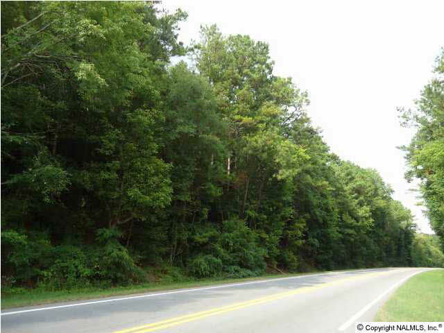 Lake View Drive  Guntersville AL 35976 photo