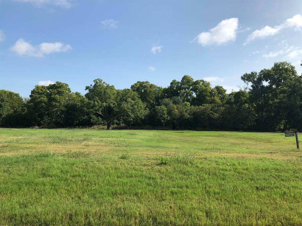 Property Photo:  30827 Lower Oxbow Trace  TX 77441 