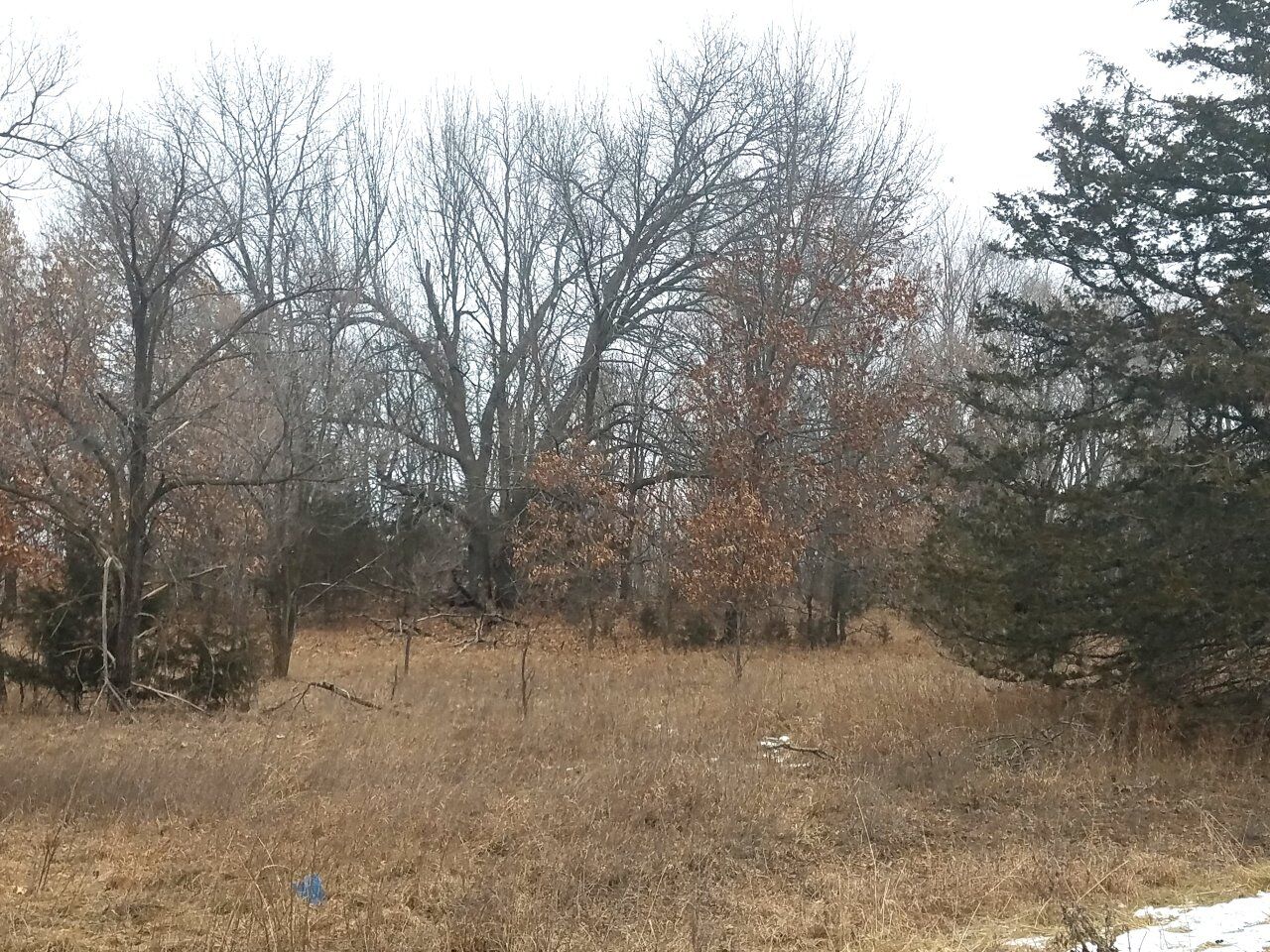 Property Photo:  Lt12 2nd St  WI 53949 