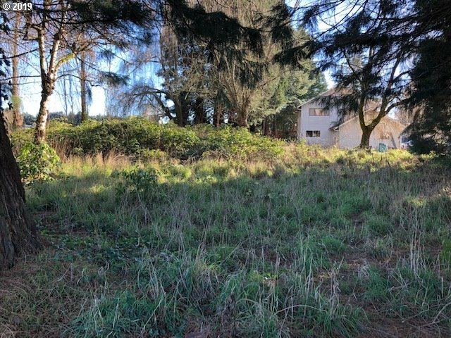 Property Photo: 0 NW 43rd Ave WA 98685