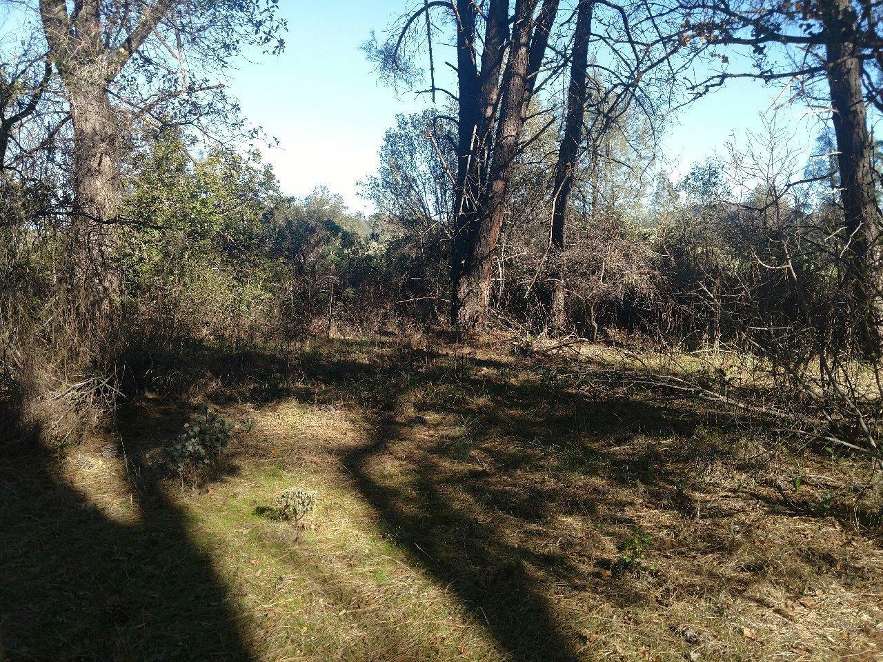 Property Photo:  Lot 02 Bear Mountain Rd.  CA 96003 