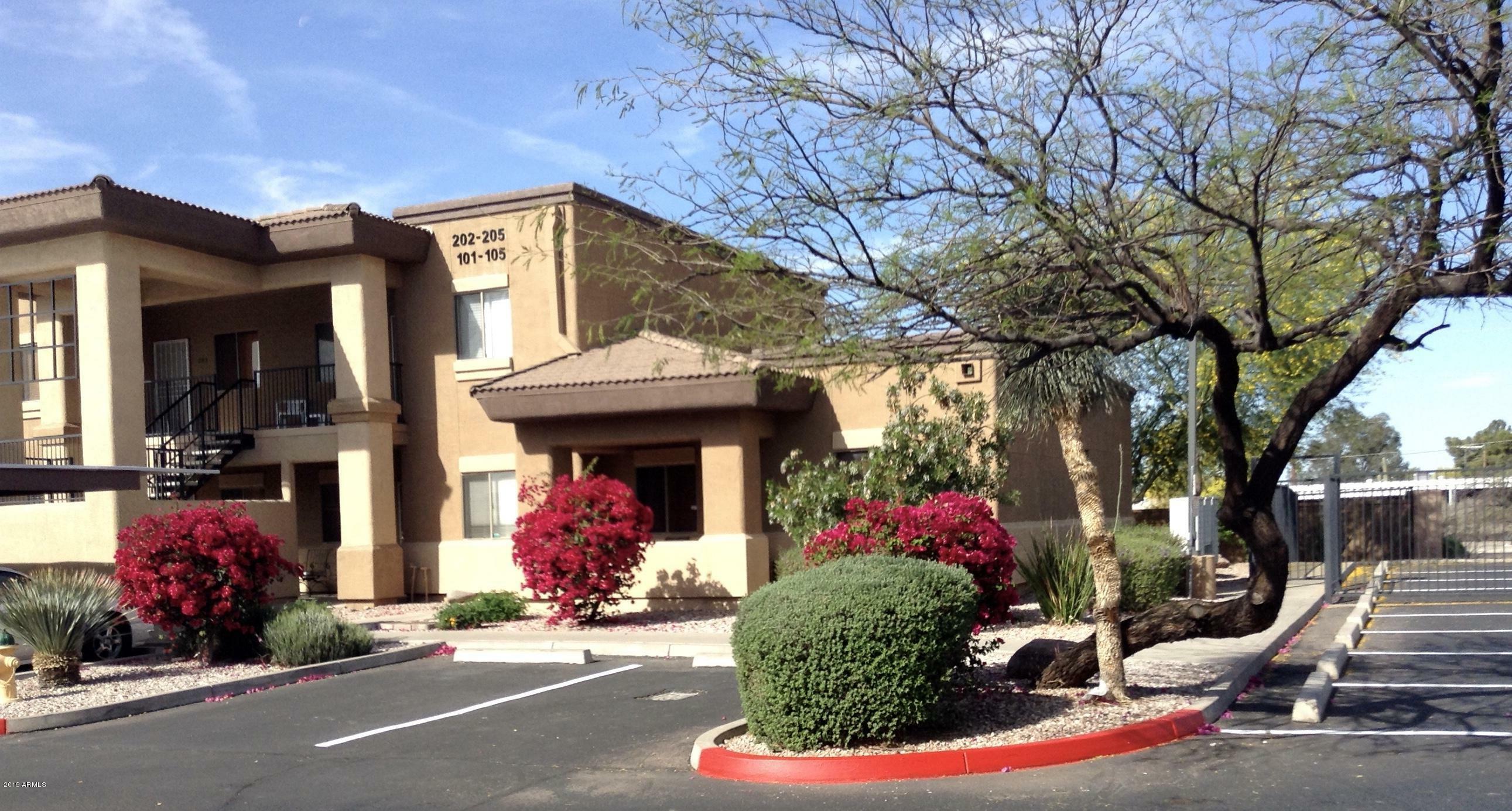 Property Photo:  537 S Delaware Drive 101  AZ 85120 